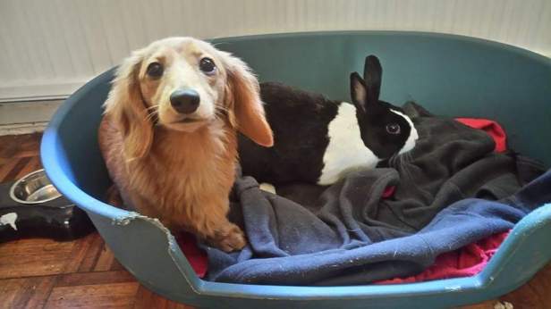 FB_IMG_1509637111278