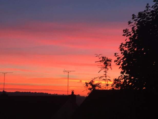 48077938_10218218207877423_730374800890920960_n