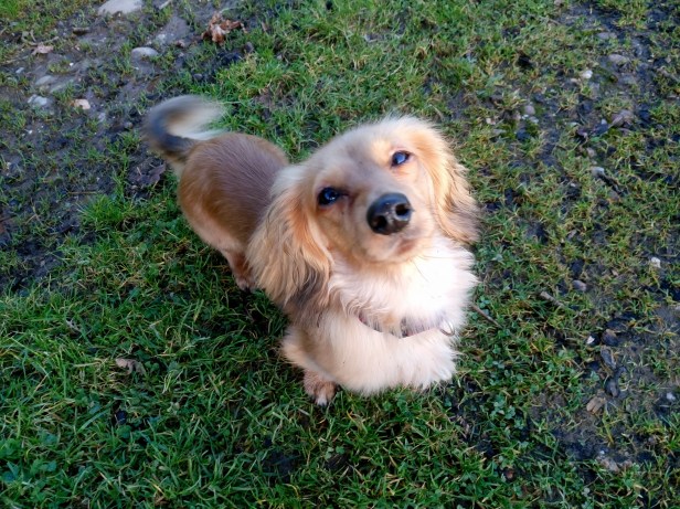 26232610_10155968817019402_7599114202365756241_o