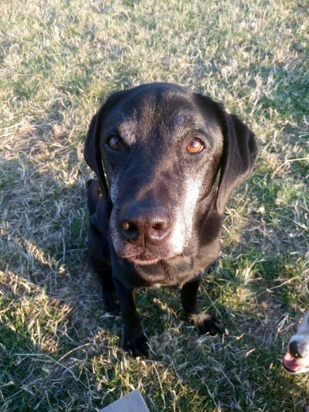 FB_IMG_1534638892472